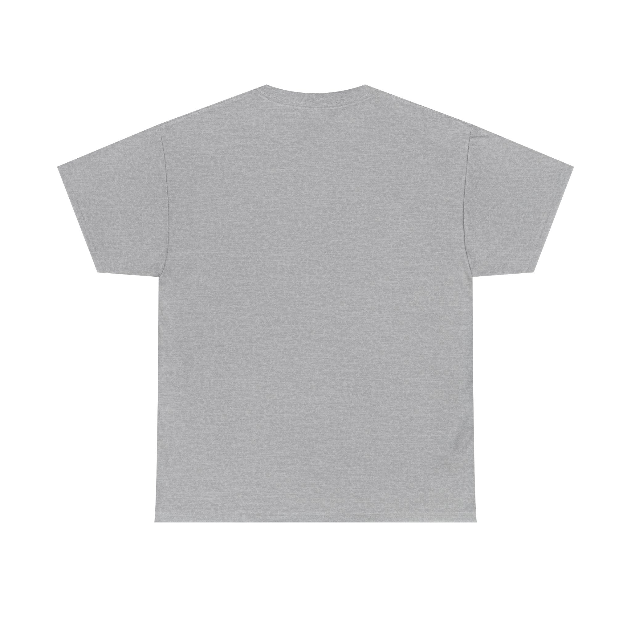 Not Christian, an Heir - Bold Declaration T-shirt