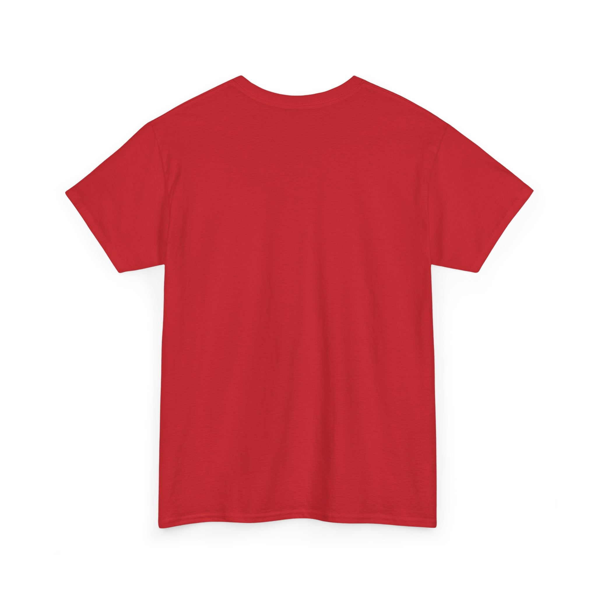 Christian Vs Heir - Visual Statement T-shirt