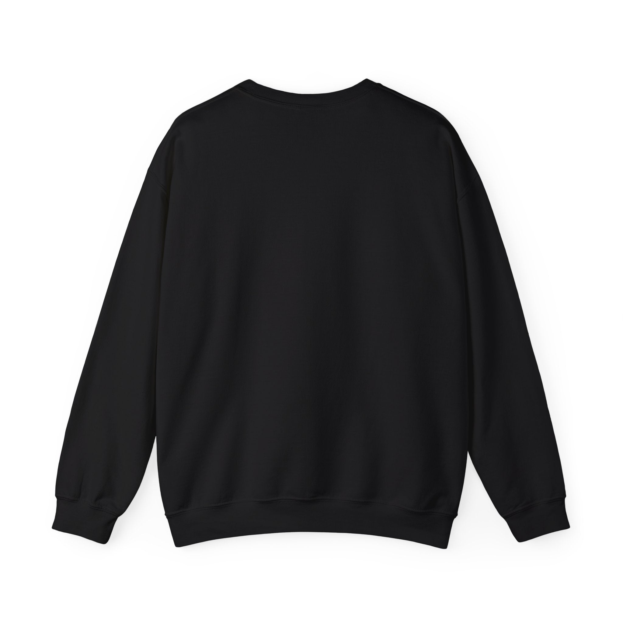 Not Christian, an Heir - Bold Declaration Sweatshirt